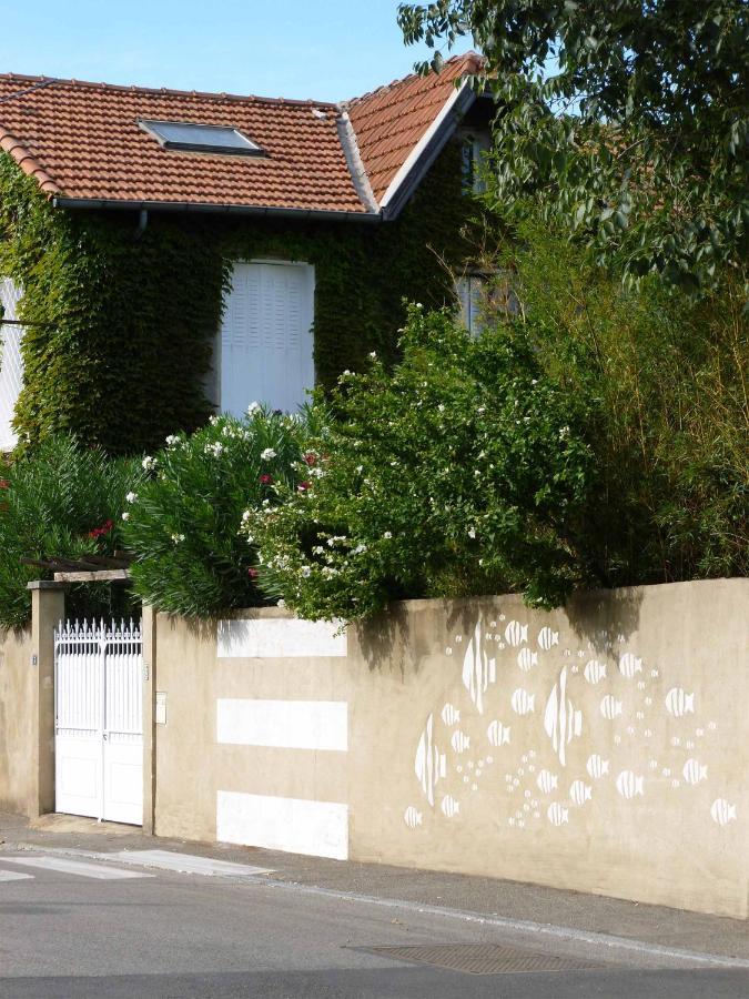 Bed and Breakfast Les Petits Poissons Aviñón Exterior foto