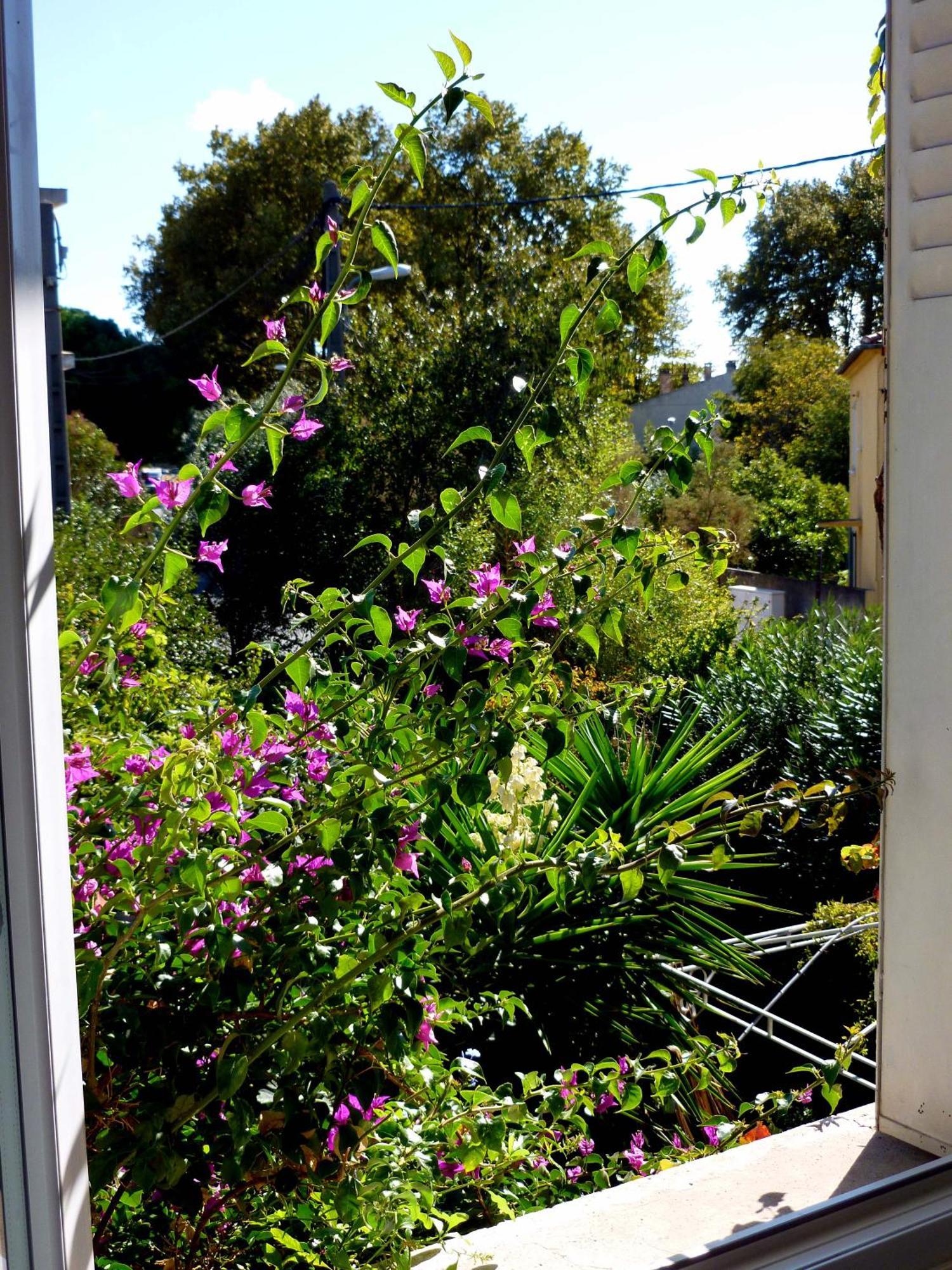 Bed and Breakfast Les Petits Poissons Aviñón Habitación foto